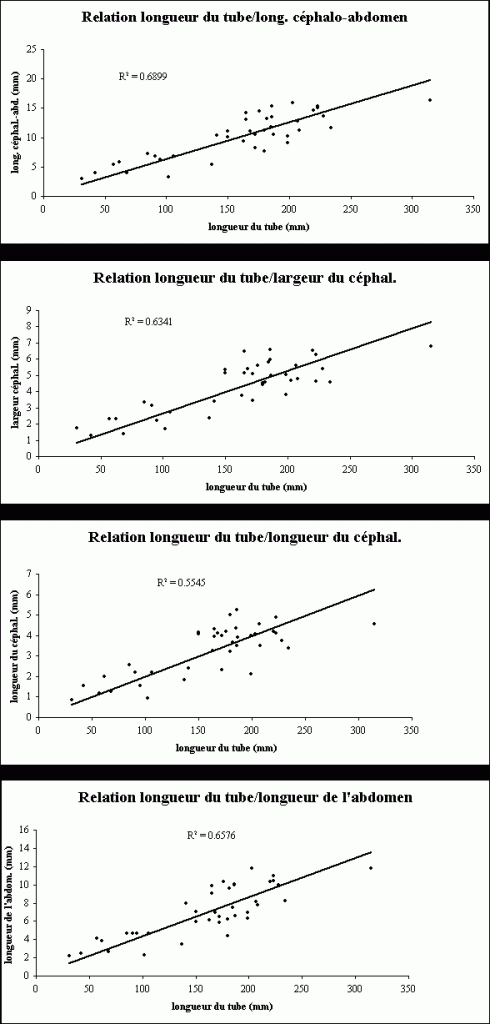 L’attribut alt de cette image est vide, son nom de fichier est Relation-longueur-490x1024.gif.