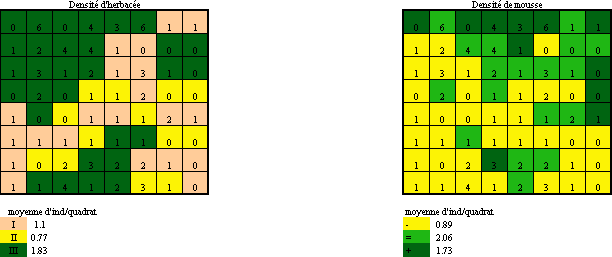 L’attribut alt de cette image est vide, son nom de fichier est Veg1.gif.