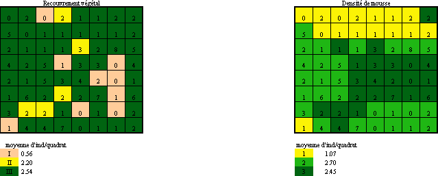 L’attribut alt de cette image est vide, son nom de fichier est veg2.gif.
